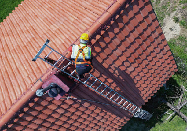 Best Roof Moss and Algae Removal  in Acworth, GA